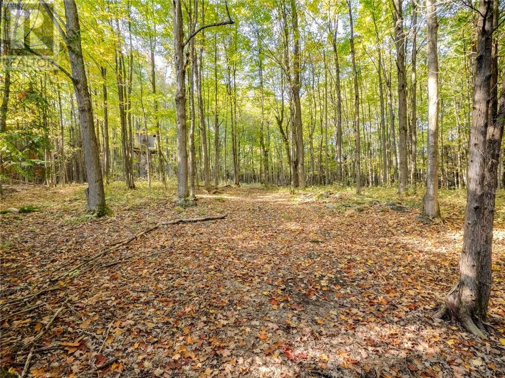 LITTLE RUSSIA ROAD, Glen Robertson, Ontario